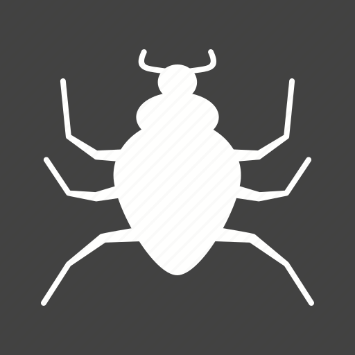 Danger, halloween, insect, poison, spider, toxic icon - Download on Iconfinder