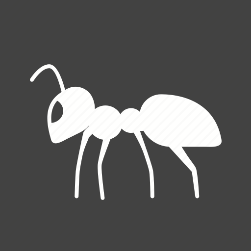 Ant, beetle, bug, fly, insect, pest, termite icon - Download on Iconfinder