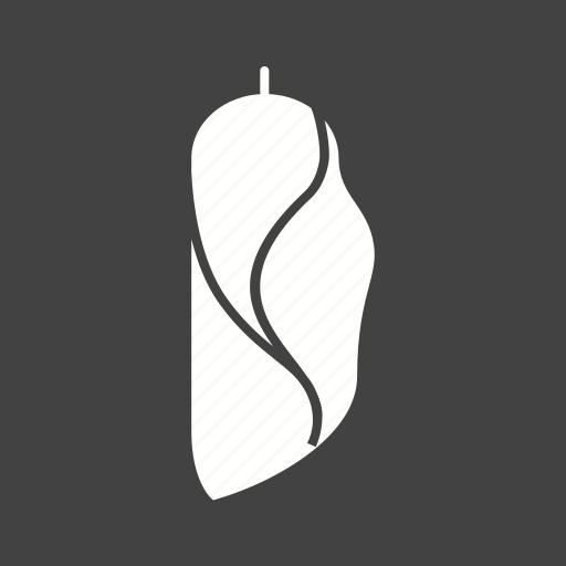 Animal, butterfly, cocoon, insect, metamorphosis, transformation icon - Download on Iconfinder