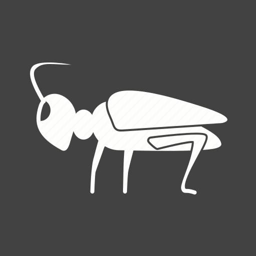 Animal, bug, grasshopper, grasshoppers, green, insect icon - Download on Iconfinder