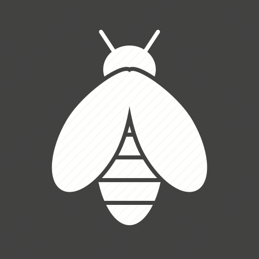 Bee, bees, fly, honey, honeybee, nature, wing icon - Download on Iconfinder