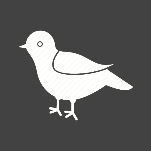 Animal, birds, flight, flock, flying, nature, sparrow icon - Download on Iconfinder