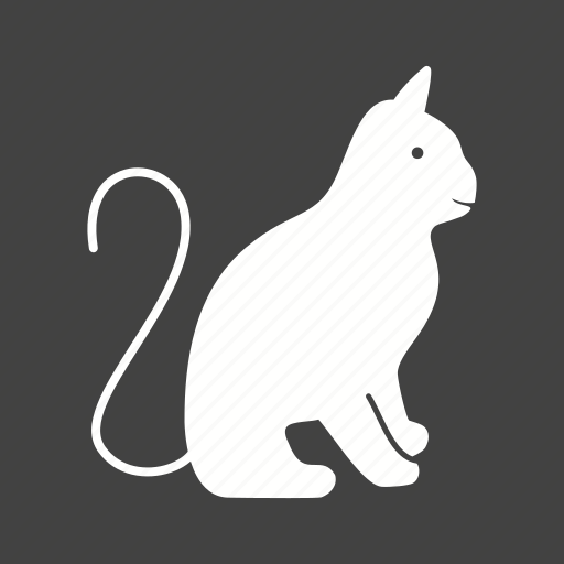 Animal, cat, cats, kitten, kitty, pussy cat, wild cat icon - Download on Iconfinder