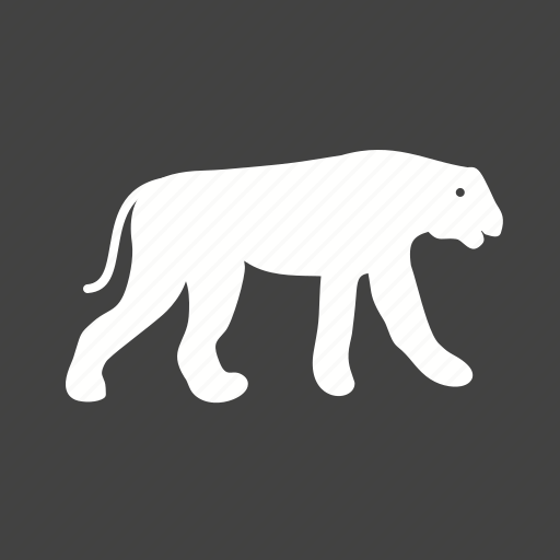 Africa, animal, cheetah, kenya, running, safari, wildlife icon - Download on Iconfinder