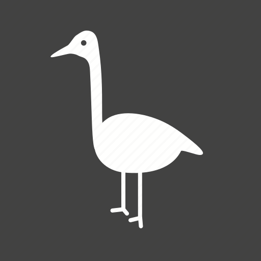 Animal, beautiful, bird, flamingo, flamingos, pink, summer icon - Download on Iconfinder