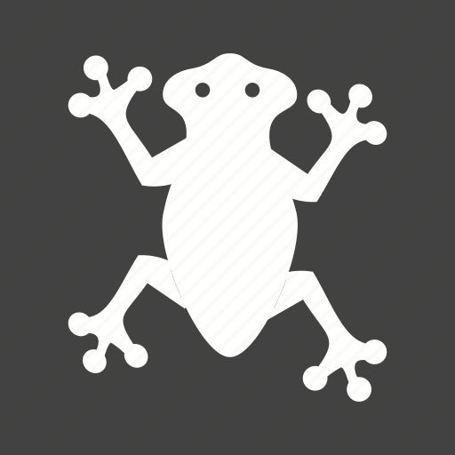 Amphibian, animal, frog, frogs, green, tropical, water icon - Download on Iconfinder