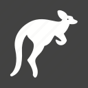 animal, australia, brown, kangaroo, kangaroos, pouch, wildlife