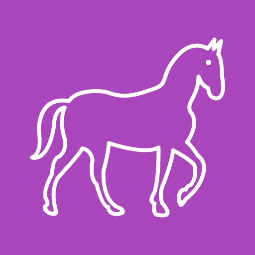 Competition, horse, horseback, horses, race, racing, riding icon - Download on Iconfinder
