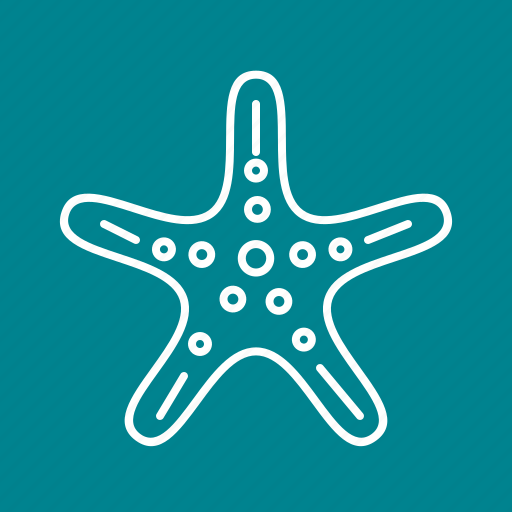 Ocean, sea, shell, shells, star, starfish, summer icon - Download on Iconfinder
