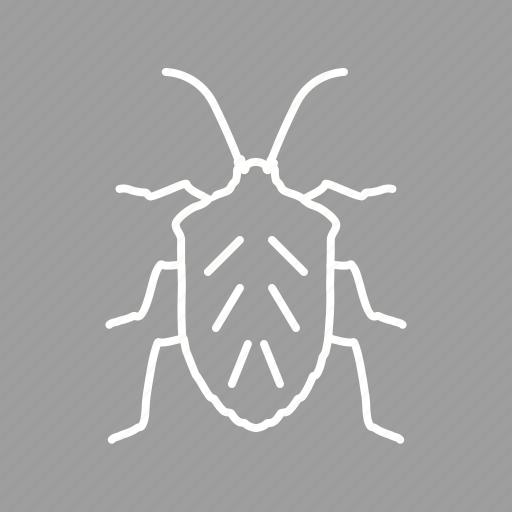 Ant, beetle, bug, crawler, moth, pest, termite icon - Download on Iconfinder
