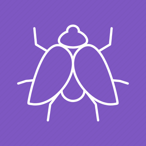 Bee, beetle, butterfly, fly, insect, insects, wings icon - Download on Iconfinder