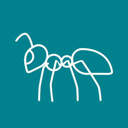 Ant, beetle, bug, fly, insect, pest, termite icon - Download on Iconfinder