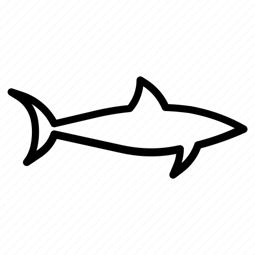 Animal, fish, predator, sea, shark, tiburon, tubarao icon - Download on Iconfinder