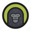 gorilla, animal, face, monkey, zoo 