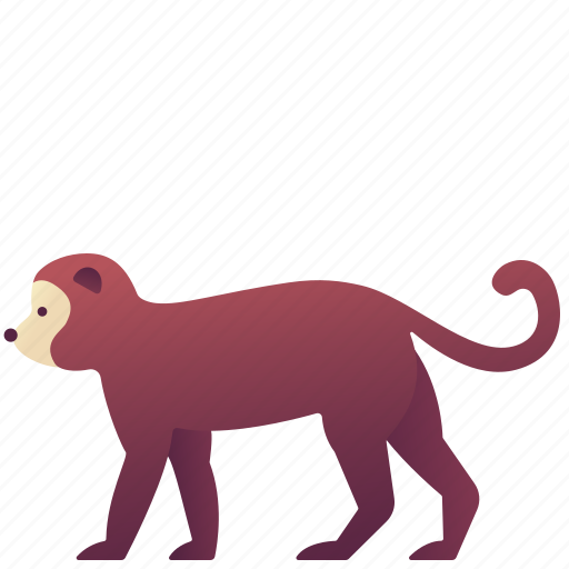 Animal, chimpanzee, creature, monkey, wildlife, zoo icon - Download on Iconfinder