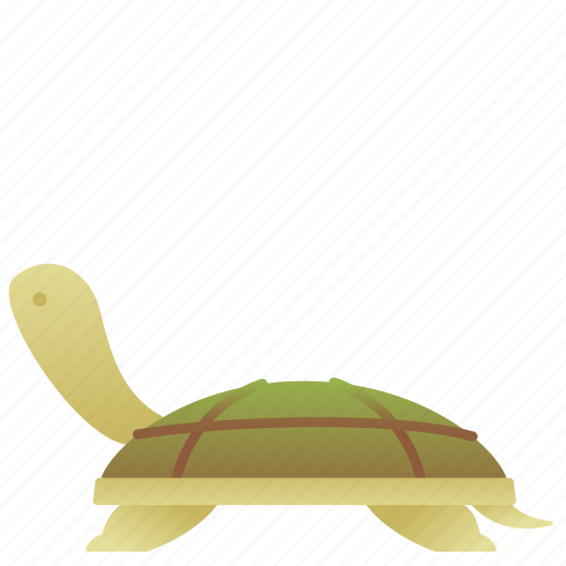 Amphibian, animal, domestic, pet, sea, turtle, zoo icon - Download on Iconfinder