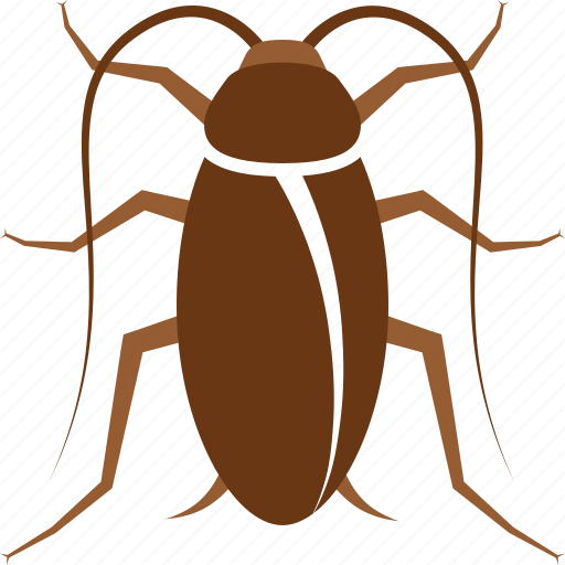 Bug, cock, cockroach, control, household, pest, roach icon - Download on Iconfinder