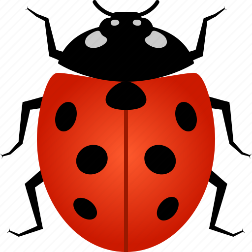 Beetles, bug, coccinellidae, insect, lady, ladybird, ladybug icon - Download on Iconfinder