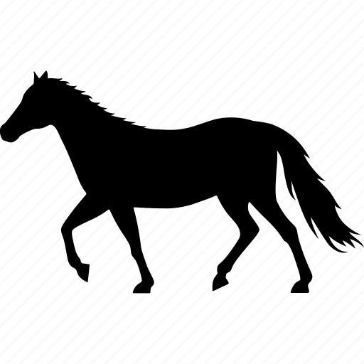 Horse, stallion, mare, colt, equestrian, bronco, animal icon - Download on Iconfinder