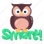 smart decision, owl bird, night bird, smart bird, owl 