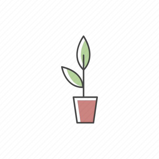 Flower, houseplant, potted plant, potted plant icon icon - Download on Iconfinder