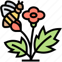 botanical, garden, flower, bee, insect