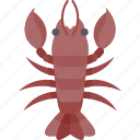 lobster, crustacean, seafood, marine, animal