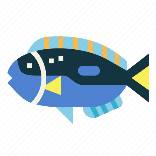 Animal, animals, aquarium, aquatic, blue, fish, tang icon - Download on Iconfinder