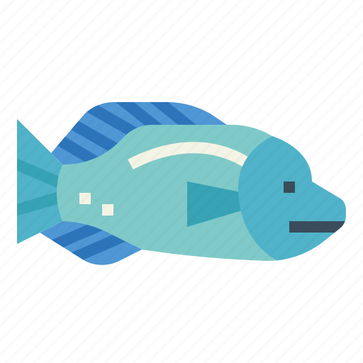 Animal, animals, aquarium, aquatic, fish, humphead, wrasse icon - Download on Iconfinder