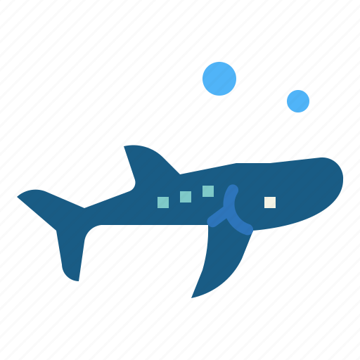 Animal, animals, aquatic, fish, shark, whale icon - Download on Iconfinder