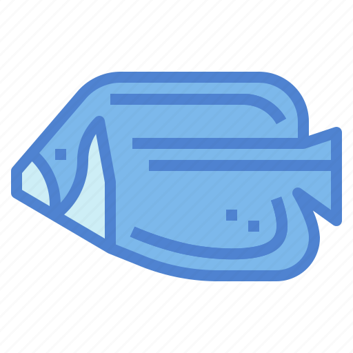 Angelfish, animal, animals, aquarium, aquatic, emperor, fish icon - Download on Iconfinder