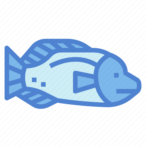 Animal, animals, aquarium, aquatic, fish, humphead, wrasse icon - Download on Iconfinder