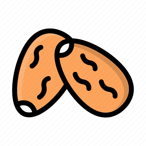 Date, food, healthy, arabic, culture icon - Download on Iconfinder