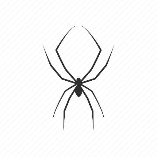 Animal, arachnid, carpenter spider, cellar spider, daddy long legs, invertebrates, spider icon - Download on Iconfinder