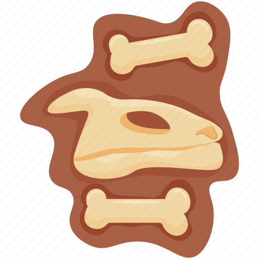 Bones, skull, history, fossils, fossil, archaeology, archaeologist icon - Download on Iconfinder