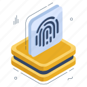 thumbprint, fingerprint, biometry, dactylogram, biometric identification