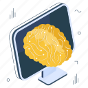 online brain, mind, intelligence, cerebrum, cerebellum