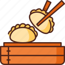 dumpling, food, snack, instrument, steamed, chinese, asian