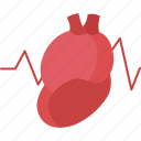 heartbeat, cardio, monitor, diagnosis, health