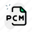 pcm, music, audio, format, file, document 