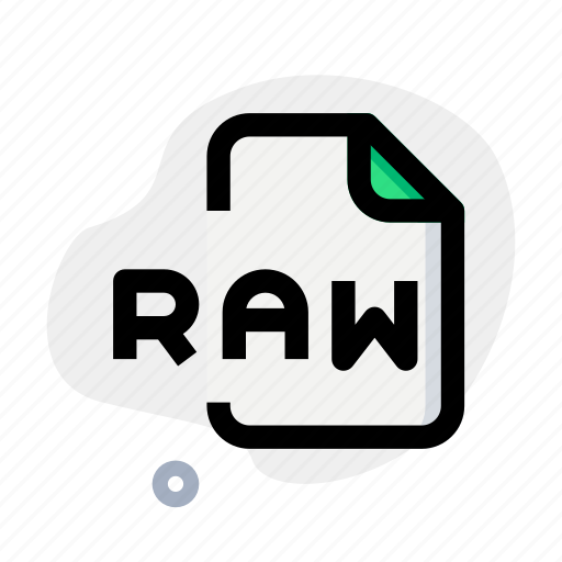 Raw, music, audio, format, sound, file icon - Download on Iconfinder