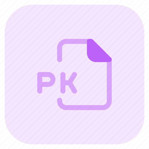 Pk, music, audio, format, document icon - Download on Iconfinder
