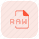 raw, music, audio, format, extension