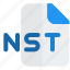 nst, music, audio, format, extension 