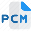 pcm, music, audio, format, file, document