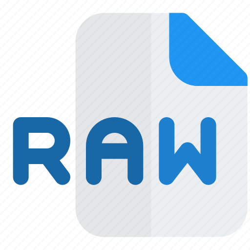 Raw, music, audio, format, file, document icon - Download on Iconfinder