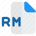 rm, music, audio, format, document