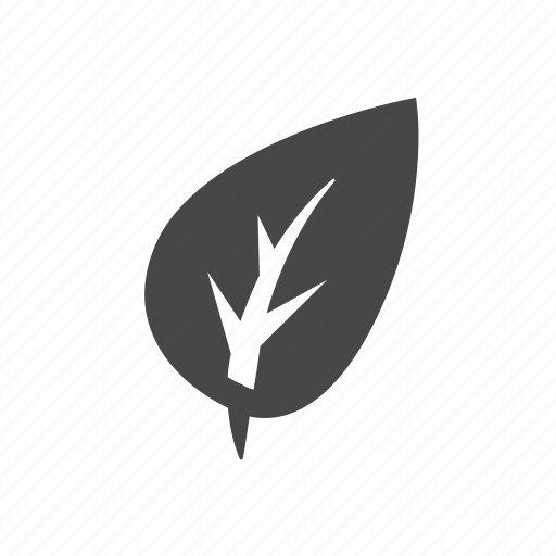 Autumn, leaf icon - Download on Iconfinder on Iconfinder