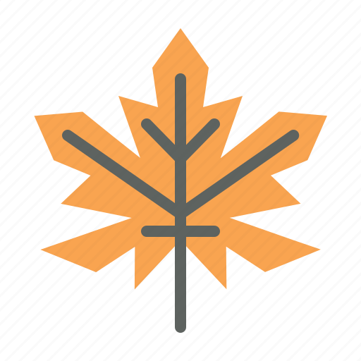 Autumn, fall, leaf, maple, plant icon - Download on Iconfinder