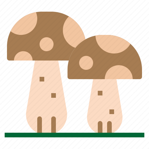 Fungus, mushrooms, oyster, toadstool, vegetable icon - Download on Iconfinder